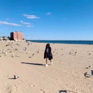 Meet your Posher, Shore